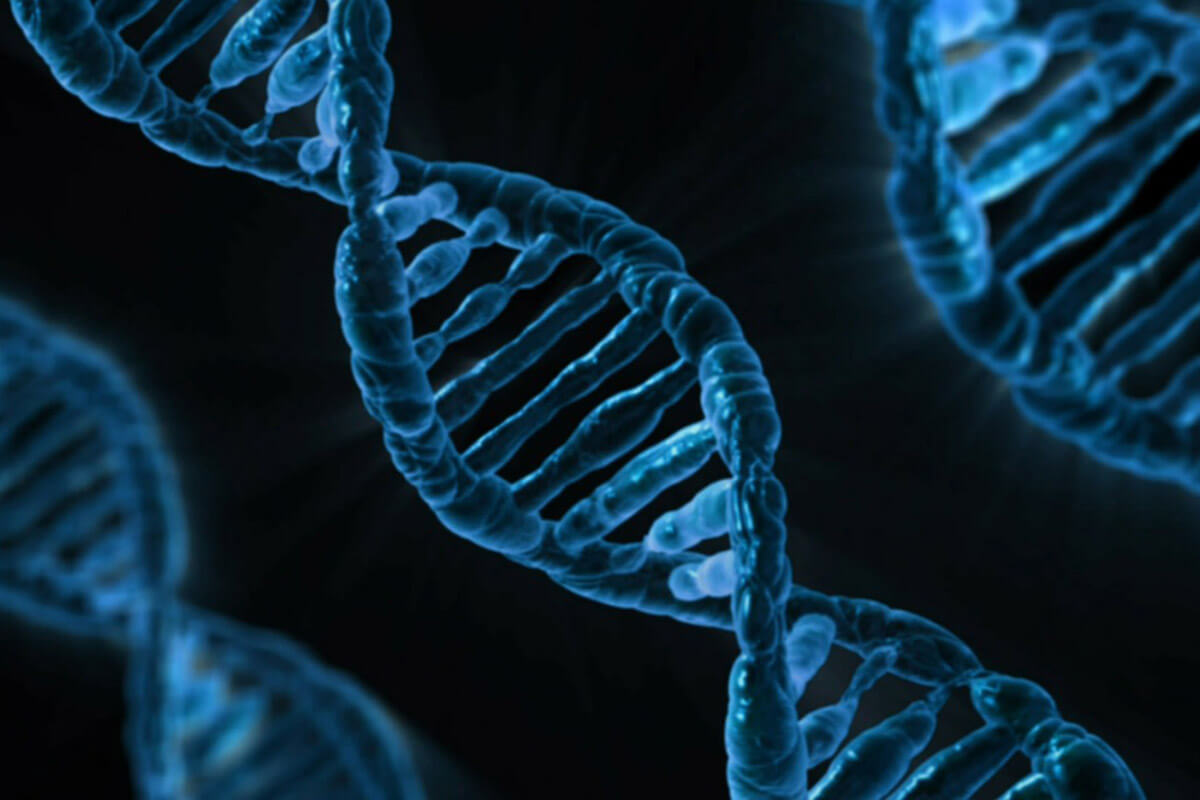 1200px x 800px - Code Regulating Most Human Genes Now Unlocked â€“ Shurik Limited